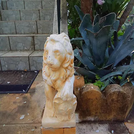 Diogenis Ground Lefkas Apolpaina